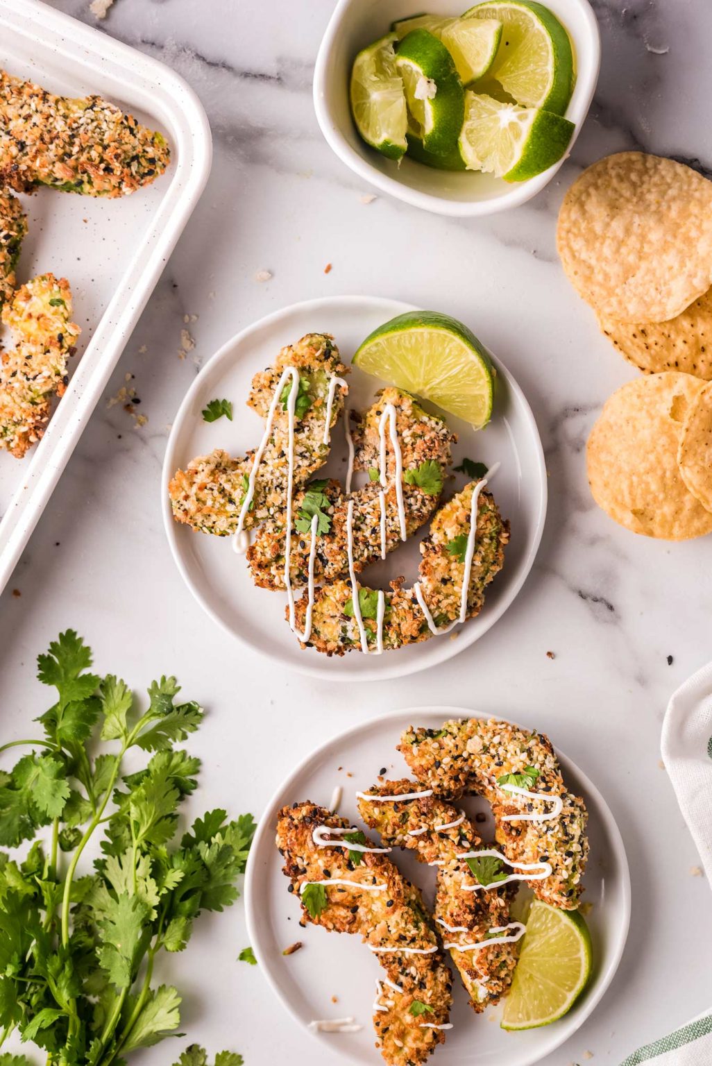 Air Fryer Avocado Fries (oven directions too) The Chunky Chef