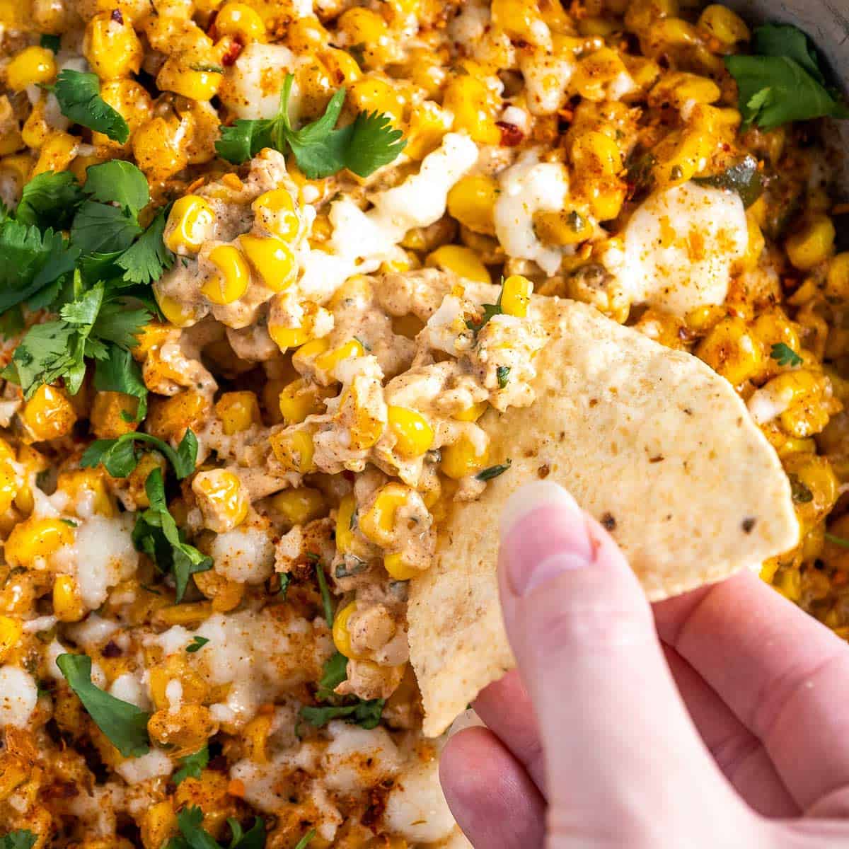 Mexican Street Corn Dip
