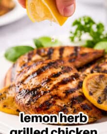 This Lemon Herb Grilled Chicken is juicy and beautifully charred. The easy marinade is perfect for not only chicken, but pork and seafood too. It's a great versatile chicken recipe! #grilled #chicken #lemon