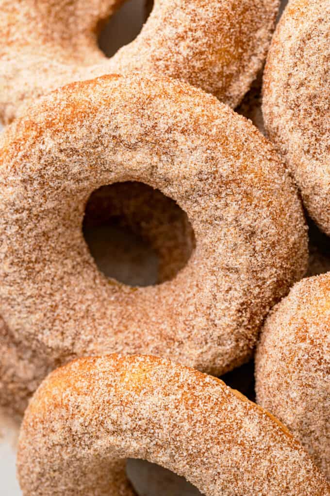 close up of apple cider donut with cinnamon sugar topping