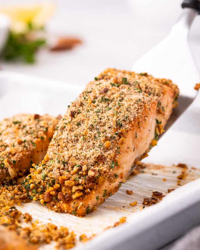 baked salmon filet on spatula