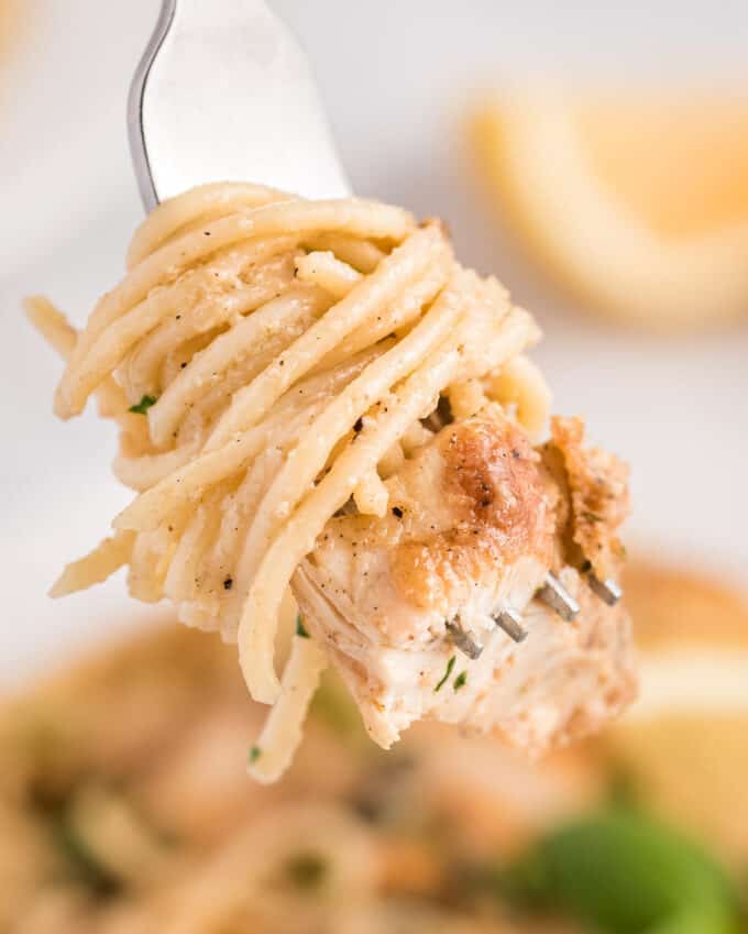 swirl of spaghetti with creamy chicken piccata