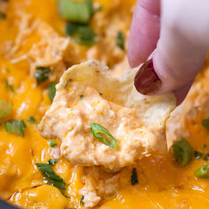 buffalo chicken dip