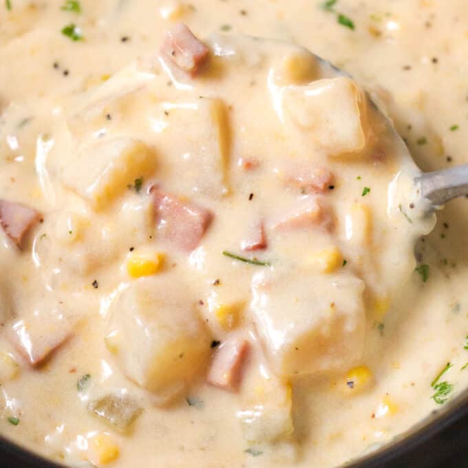 cheesy ham chowder