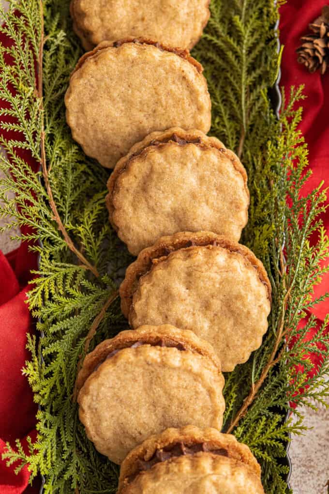 shortbread cookies lined up in a tin for christmas