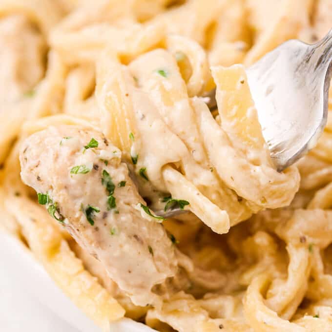 fettucine alfredo with chicken in white bowl