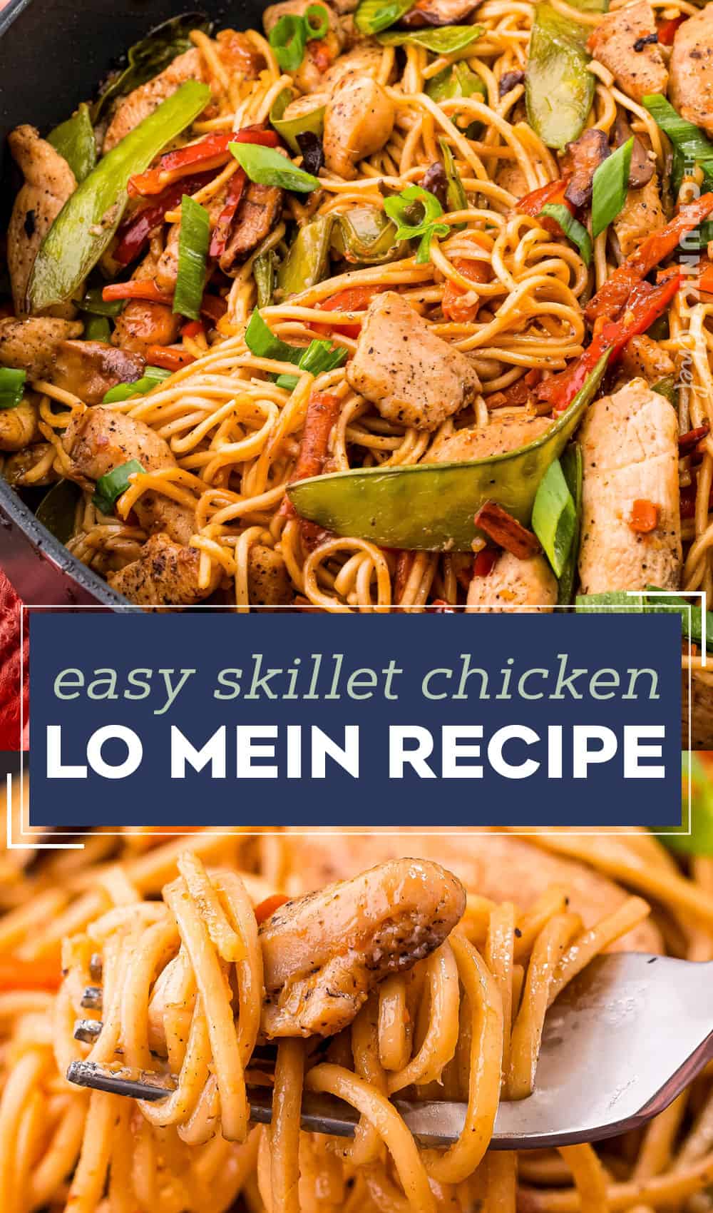 Chicken Lo Mein (easy to prep ahead) - The Chunky Chef