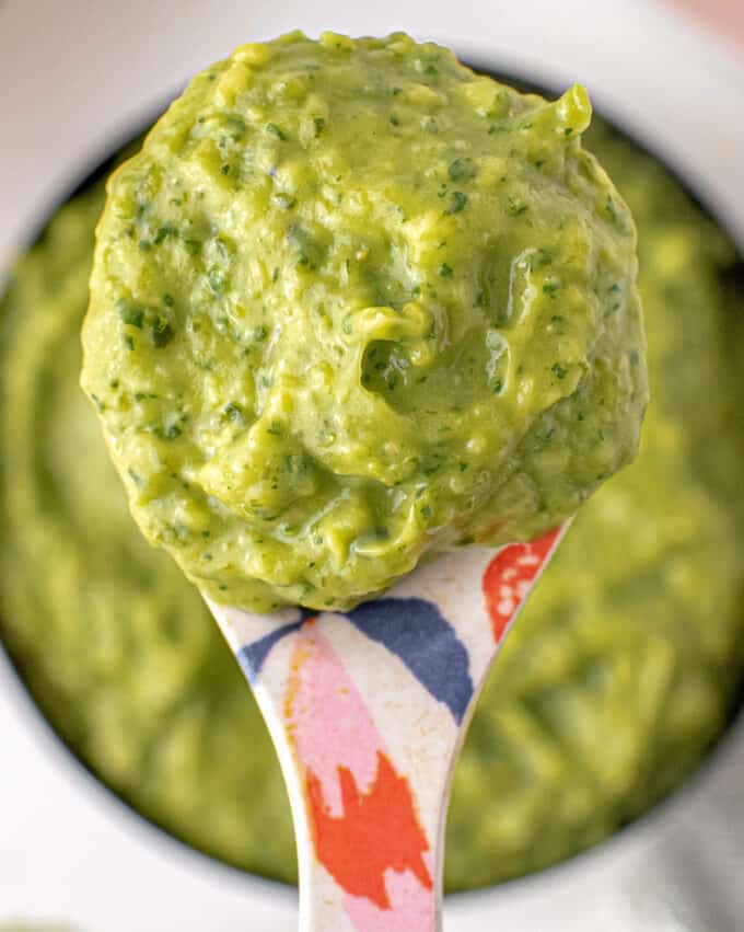 spoonful of avocado dip