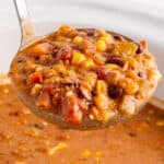 ladle of vegetarian tortilla soup