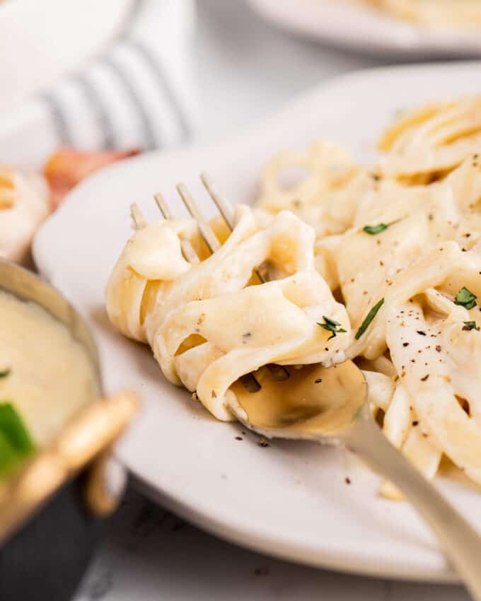 roasted garlic alfredo sauce on pasta twirled around gold fork