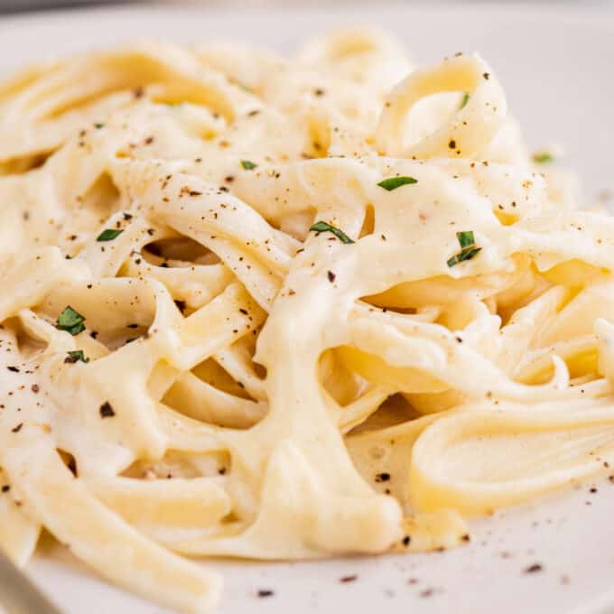 pile of fettuccine with roasted garlic alfredo sauce