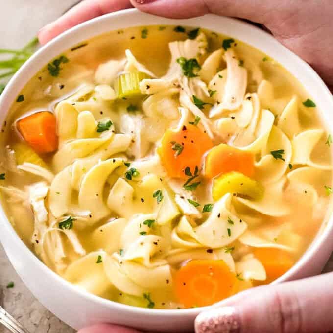 chicken noodle soup