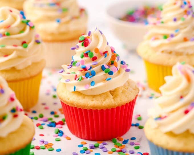 group of vanilla cupcakes decorated with a swirl of frosting and sprinkles