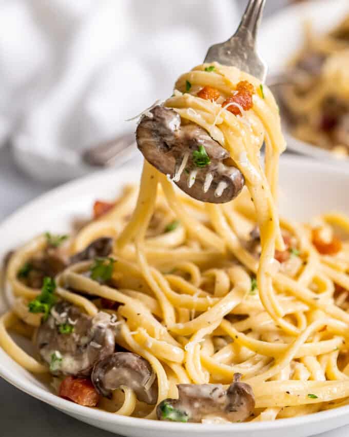 forkful of mushroom pasta