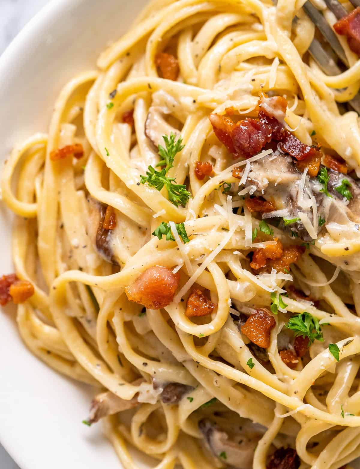 Creamy Mushroom Pasta is loaded with golden brown seared mushrooms and smothered in a silky and oh so creamy garlic parmesan sauce. With two simple swaps it can be made vegetarian, and while it's really easy to make, it looks (and tastes) fancy enough for a special occasion dinner!