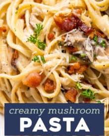 Creamy Mushroom Pasta is loaded with golden brown seared mushrooms and smothered in a silky and oh so creamy garlic parmesan sauce. With two simple swaps it can be made vegetarian, and while it's really easy to make, it looks (and tastes) fancy enough for a special occasion dinner!