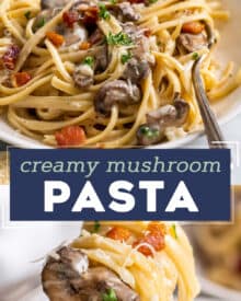 Creamy Mushroom Pasta is loaded with golden brown seared mushrooms and smothered in a silky and oh so creamy garlic parmesan sauce. With two simple swaps it can be made vegetarian, and while it's really easy to make, it looks (and tastes) fancy enough for a special occasion dinner!