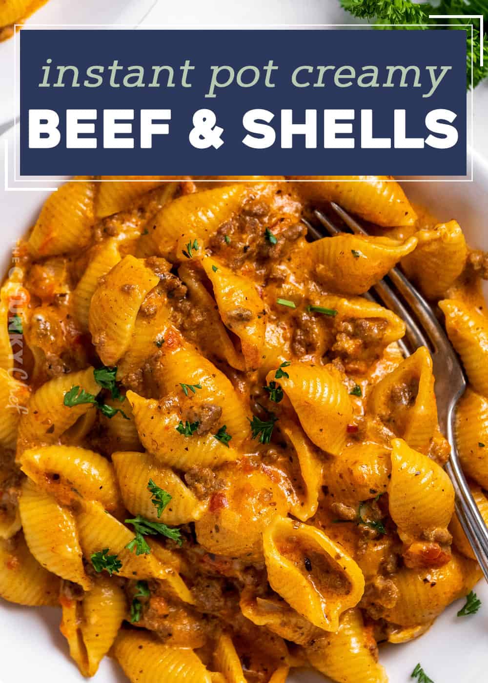 Tagcreamy Beef And Shells Instant Potfeed