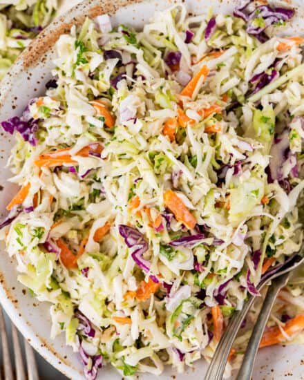 This classic and easy Coleslaw Recipe is made with crisp cabbage and carrots in a creamy, sweet and tangy homemade dressing! Perfect to make ahead, and great as a side dish or on top of a bbq sandwich!