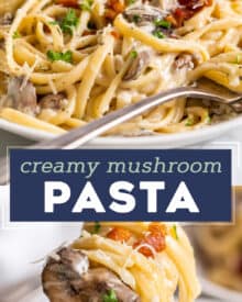 Creamy Mushroom Pasta is loaded with golden brown seared mushrooms and smothered in a silky and oh so creamy garlic parmesan sauce. With two simple swaps it can be made vegetarian, and while it's really easy to make, it looks (and tastes) fancy enough for a special occasion dinner!