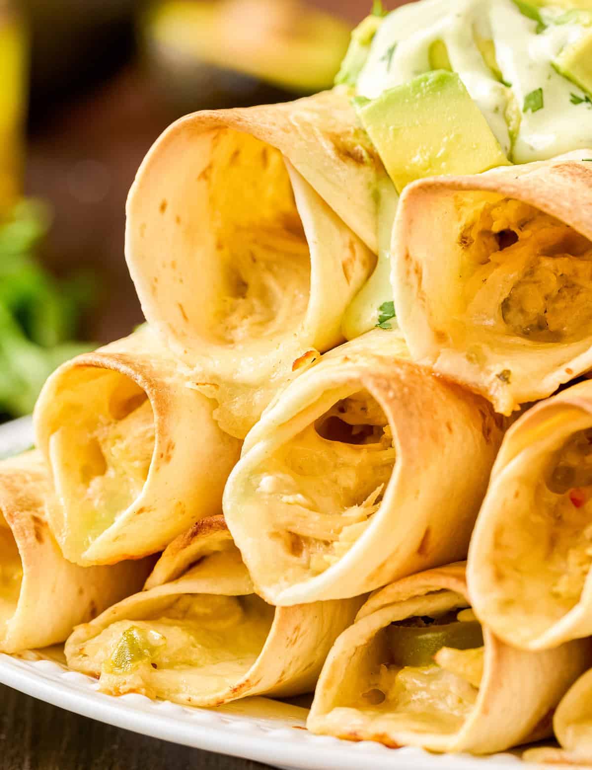 These Jalapeño Popper Chicken Taquitos are the perfect crowd-pleasing appetizer, or fun main course! Creamy jalapeño studded chicken filling is rolled up with cheese in flour tortillas and baked until crispy. Serve with an easy avocado-cilantro ranch and watch them disappear!