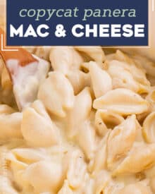 Panera Copycat White Cheddar Macaroni and Cheese – Modern Honey