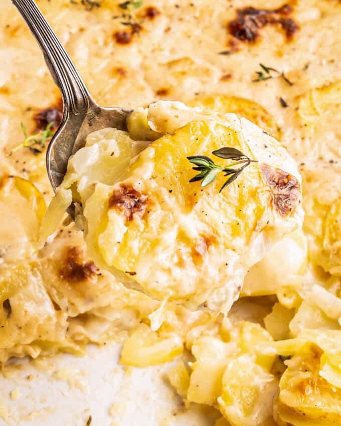 a spoonful of scalloped potatoes topped with fresh thyme