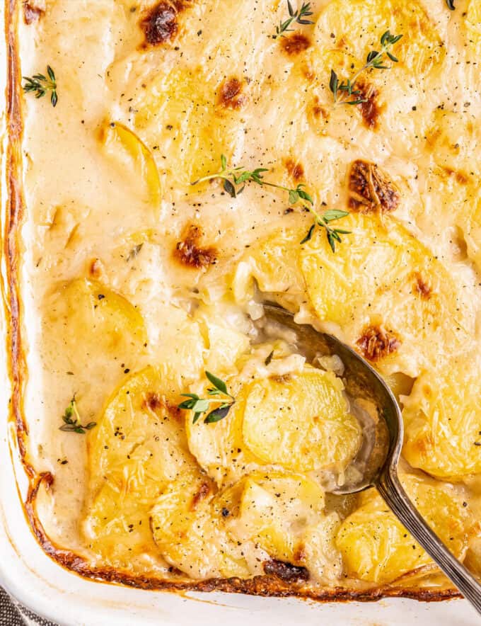 Thinly sliced potatoes are layered with sautรฉed onions, an easy homemade cream sauce, and some Parmesan cheese and baked until tender, golden brown and bubbly! Perfect for Thanksgiving, Christmas, Easter, or just a big family dinner... this is one side dish you need on your table!