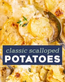 Thinly sliced potatoes are layered with sautéed onions, an easy homemade cream sauce, and some Parmesan cheese and baked until tender, golden brown and bubbly! Perfect for Thanksgiving, Christmas, Easter, or just a big family dinner... this is one side dish you need on your table!