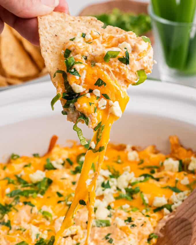 scooping buffalo chicken dip with a tortilla chip