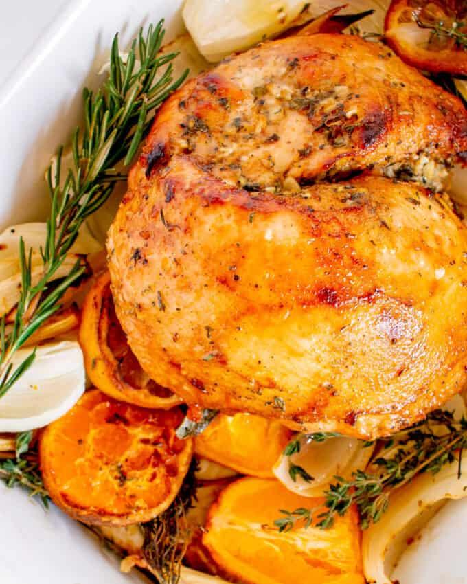 boneless turkey breast in roasting pan with citrus, onion, and herbs in the pan