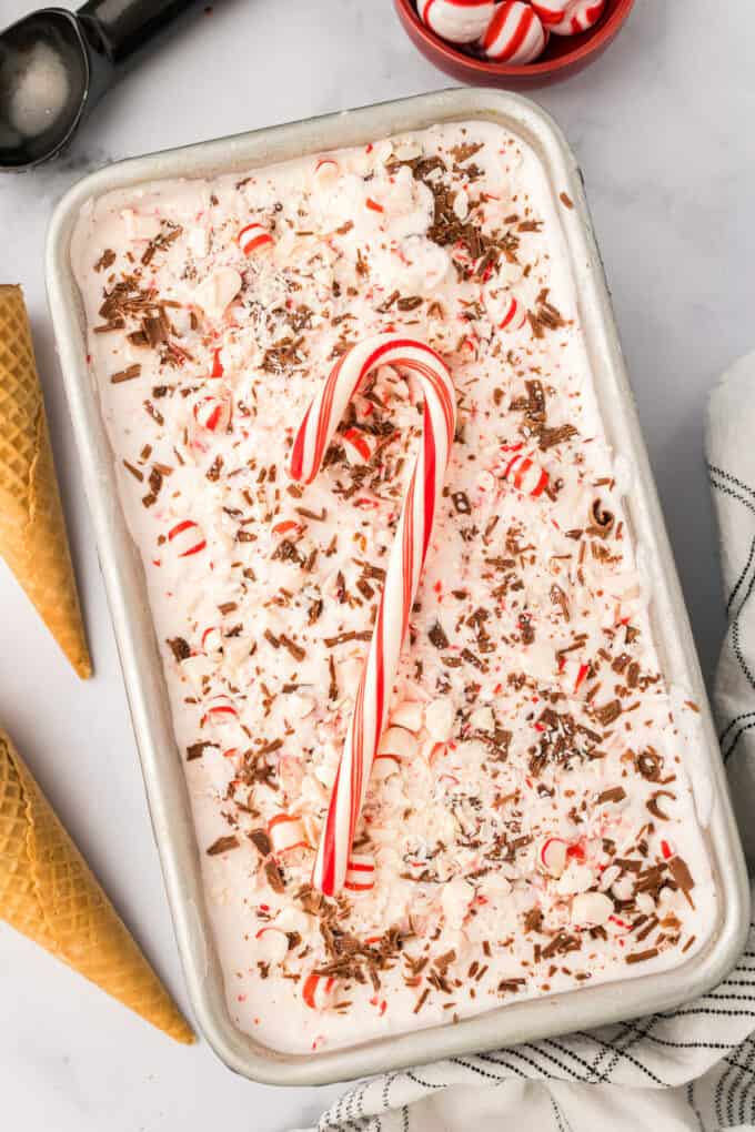 loaf pan of peppermint ice cream with a candy cane on top