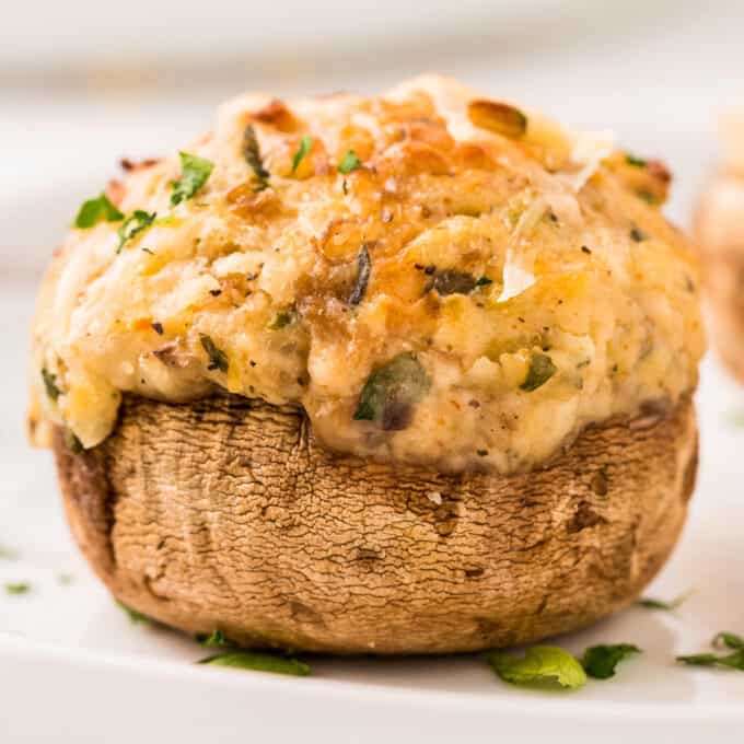 close up view of a stuffed mushroom on a white plate