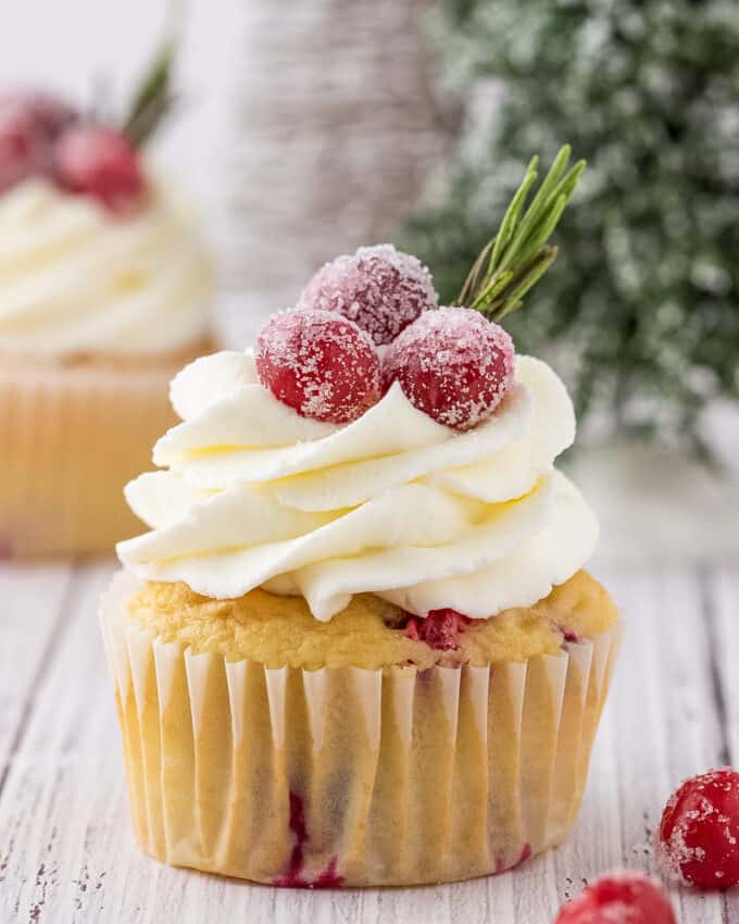 cranberry cupcake with white chocolate frosting and sprig of rosemary