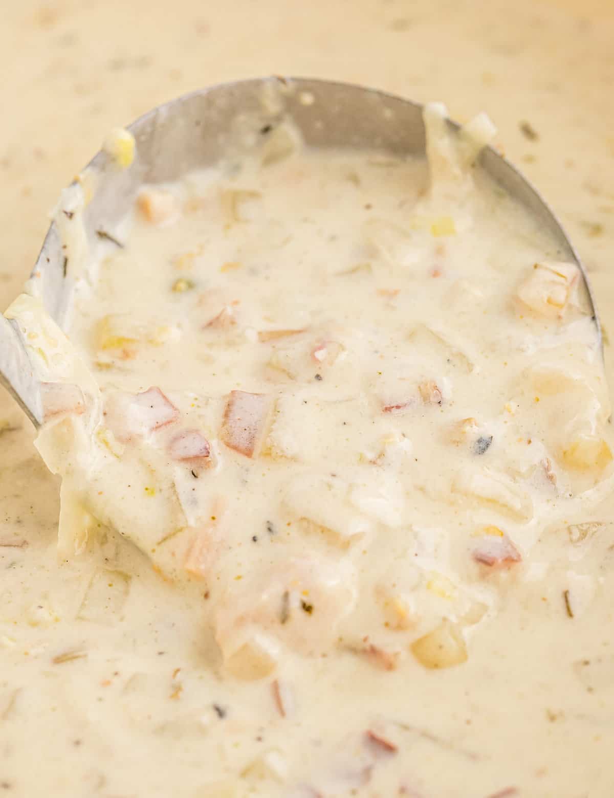 Best Ever Creamy Clam Chowder