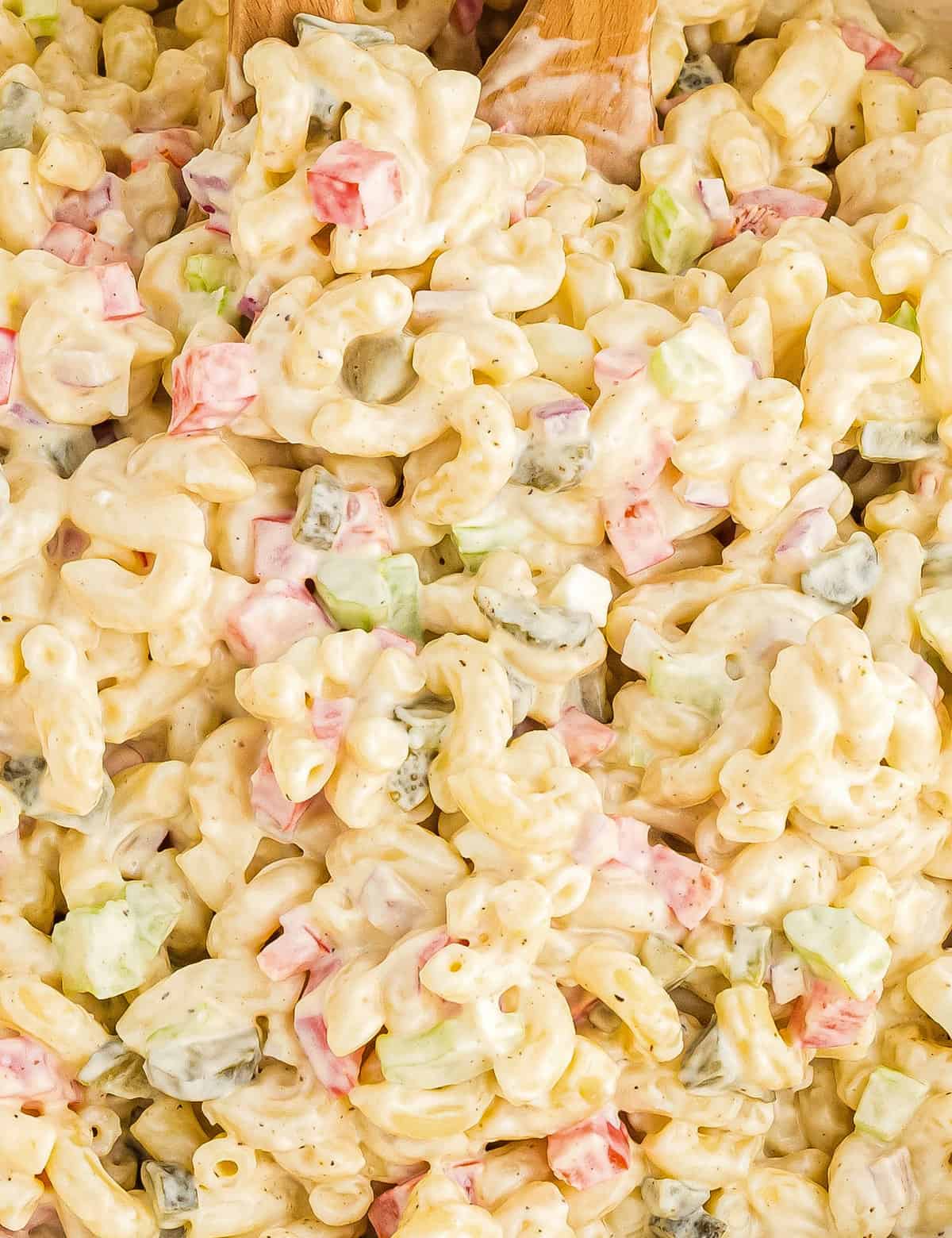 Creamy, tangy, and a little sweet, this macaroni salad is the cold side dish your cookout/potluck needs this summer! It's a great base recipe to tweak until it's just right for you and your tastes!