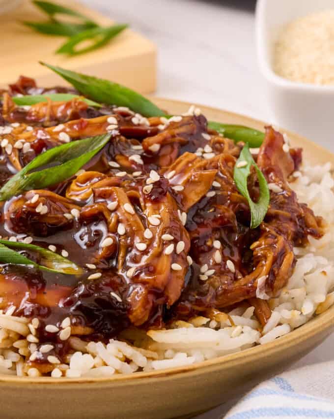 close up side-view photo of shredded teriyaki chicken on a plate with white rice.
