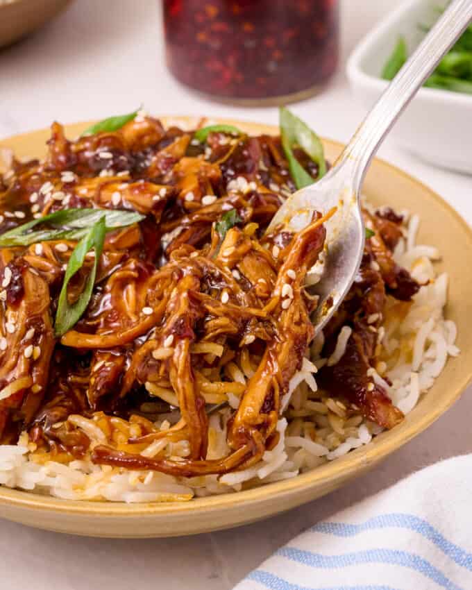 forkful of shredded chicken teriyaki with white rice.