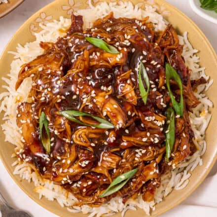 overhead photo of shredded teriyaki chicken over a bed of white rice on a plate.