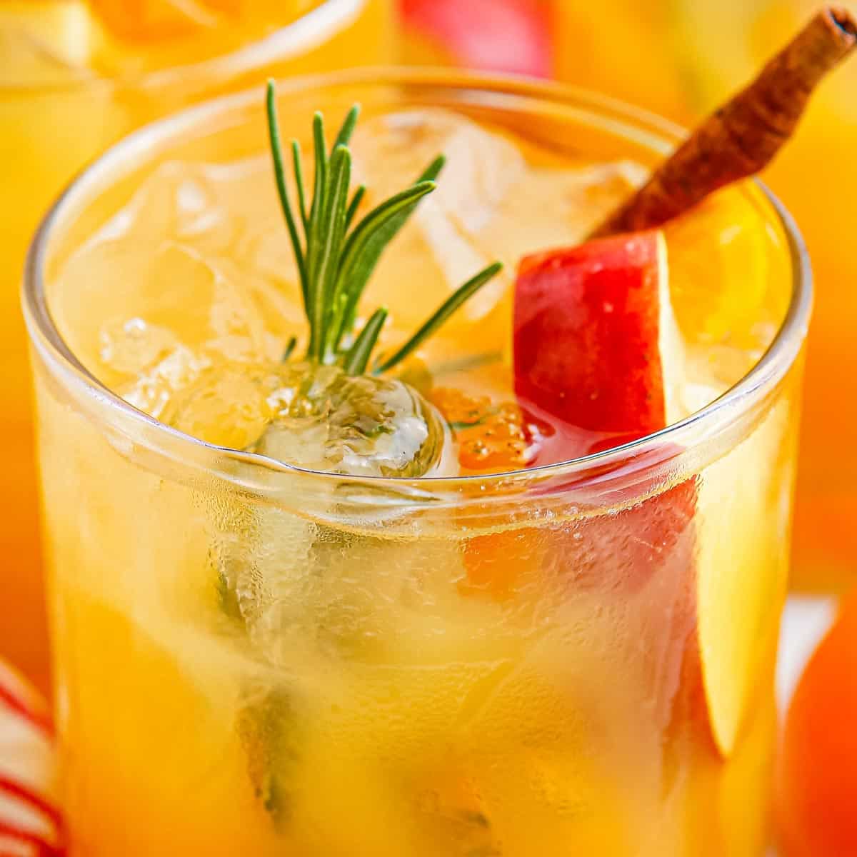 Apple Cider Punch
