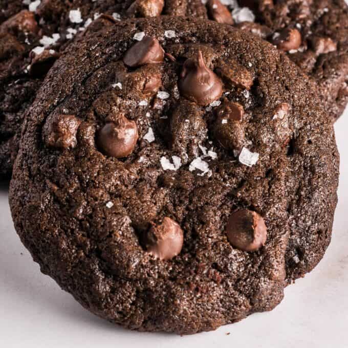 chocolate cookie with chocolate chips and sea salt.
