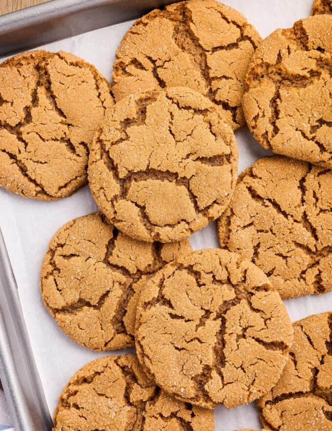 Chewy and perfectly spiced, these molasses cookies are full of sweet molasses flavor! Absolutely amazing on a holiday dessert tray, or for a fun winter afternoon treat.