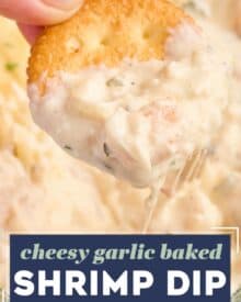 Creamy, cheesy and garlicky, this baked shrimp dip tastes like a dip-able version of shrimp scampi! Perfect for a party or game day gathering!