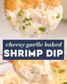 Creamy, cheesy and garlicky, this baked shrimp dip tastes like a dip-able version of shrimp scampi! Perfect for a party or game day gathering!