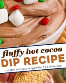 This simple 4 ingredient (plus optional garnishes) Hot Cocoa Dip is perfect for any holiday gathering or party.  Just mix, chill, and serve! 