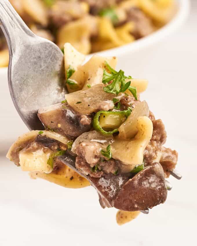 forkful of beef stroganoff with egg noodles.