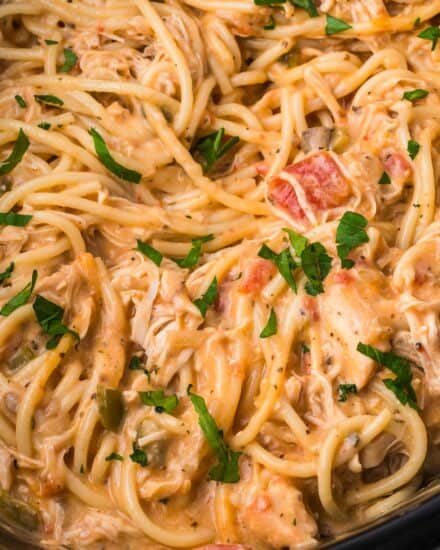 This creamy chicken spaghetti is incredibly low-maintenance, yet absolutely loaded with flavor! It's very customize-able, so you can make it just the way you love, and is perfect for a busy weeknight dinner.