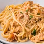chicken spaghetti on a plate garnished with minced fresh parsley.
