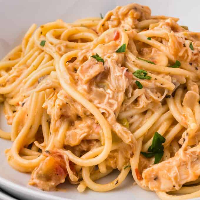 chicken spaghetti on a plate garnished with minced fresh parsley.