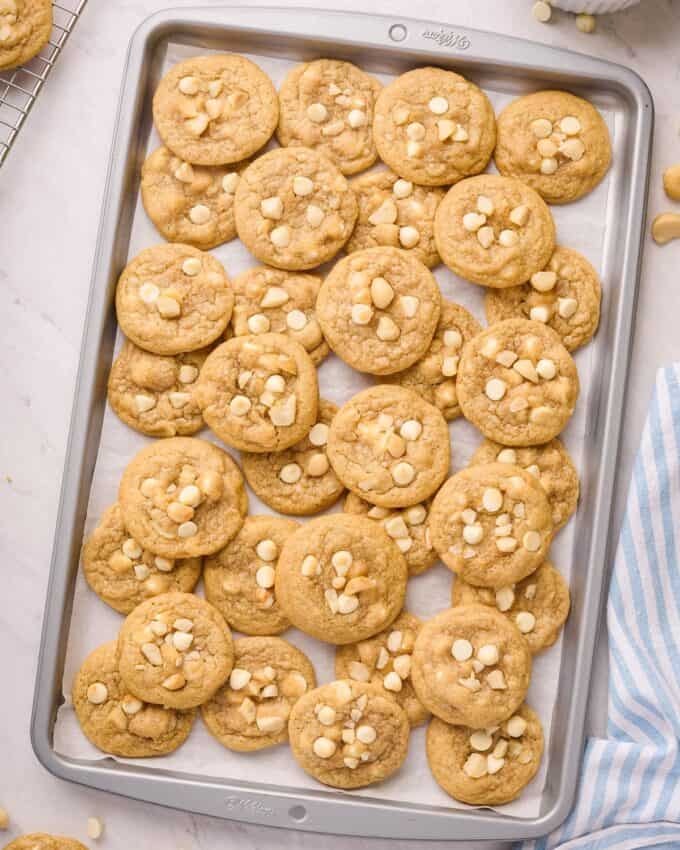 white chocolate macadamia nut cookies on a baking sheet.